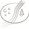 Logo grotte préhistorique de Foissac