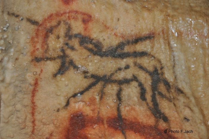 L'homme blessé - grotte de Cougnac