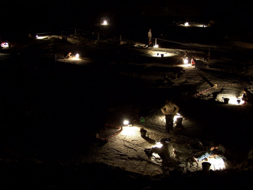 Métiers-paléontologue_Plage aux ptérosaures.png