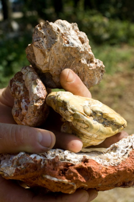 Nodules de phosphate