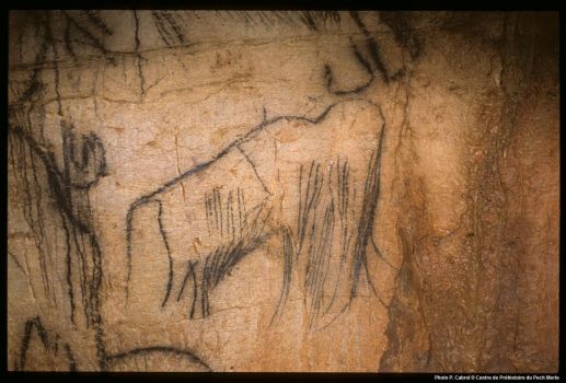 Mammouth - grotte du Pech Merle