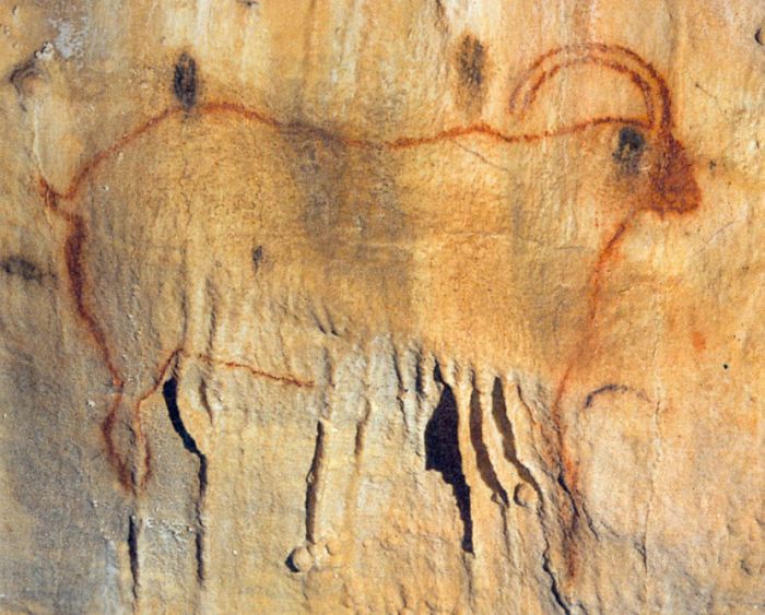 Grotte ornée de Cougnac : bouquetin