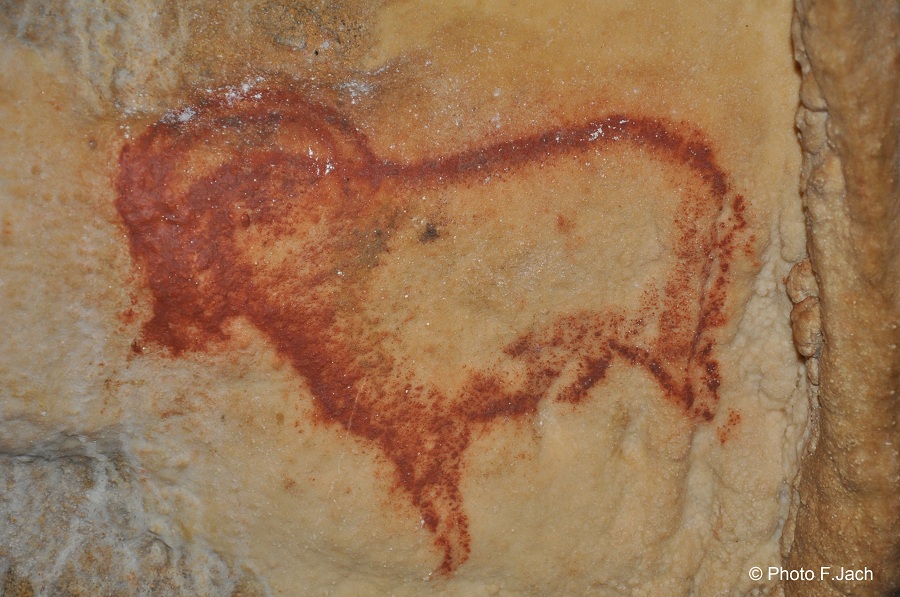 Bouquetin - grotte ornée de Cougnac