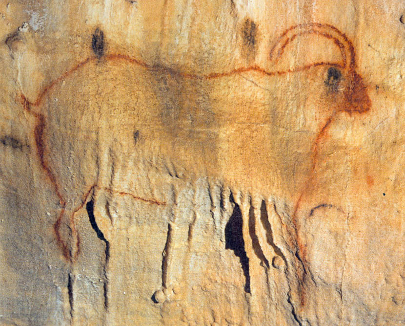 Bouquetin - grotte ornée de Cougnac