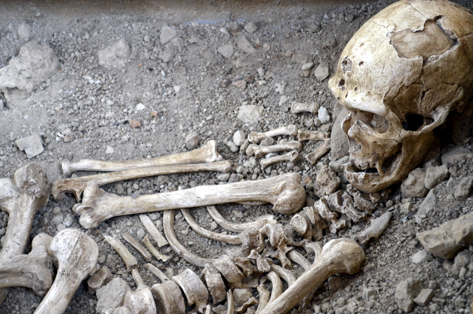 Musée de l'homme de Neandertal, L'homme de La Chapelle aux Saints