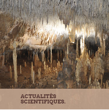 actualité scientifique